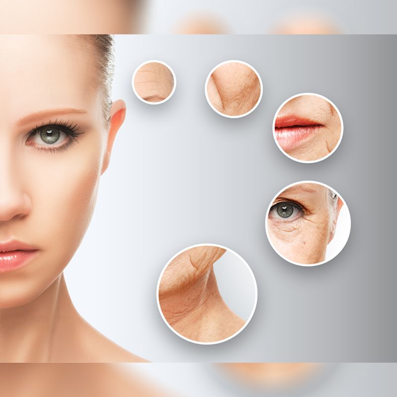 Anti Aging - Hyalomatrix 2